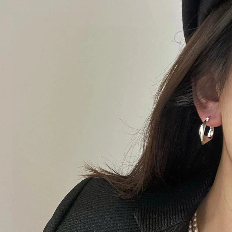 925 Silver Needle HipHop Piercing Hoop Earrings for Women Girls Punk Ear Party Wedding Jewelry Gift eh114