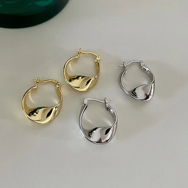 925 Silver Needle HipHop Piercing Hoop Earrings for Women Girls Punk Ear Party Wedding Jewelry Gift eh114