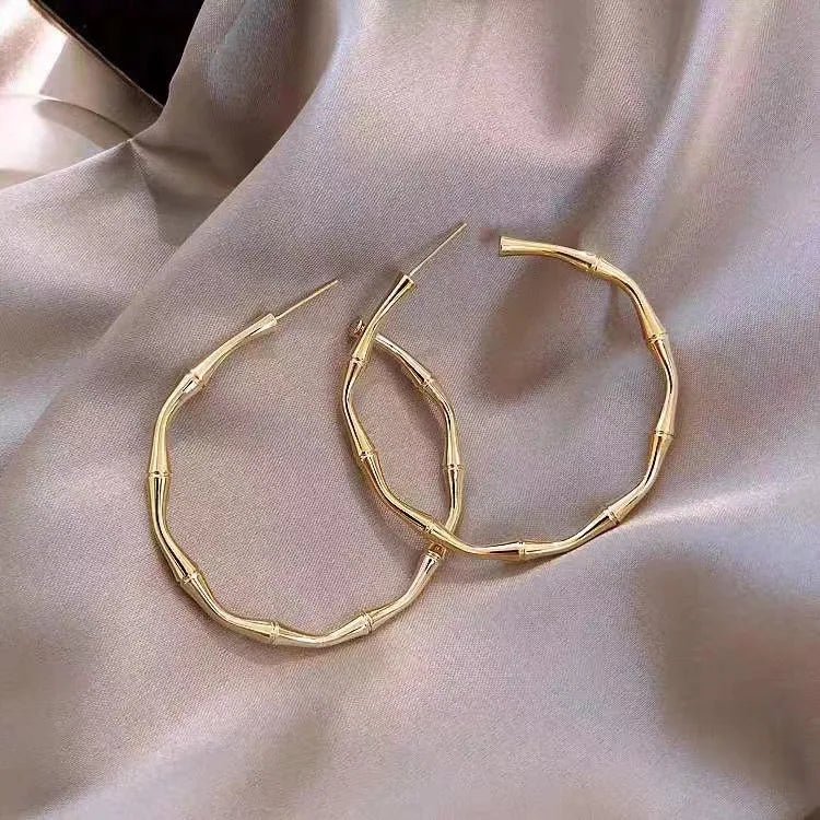 Fashion Earrings, Silver Earrings for Women 2022 Simple and Small Fashion Summer Earrings Designed By Online Celebrities